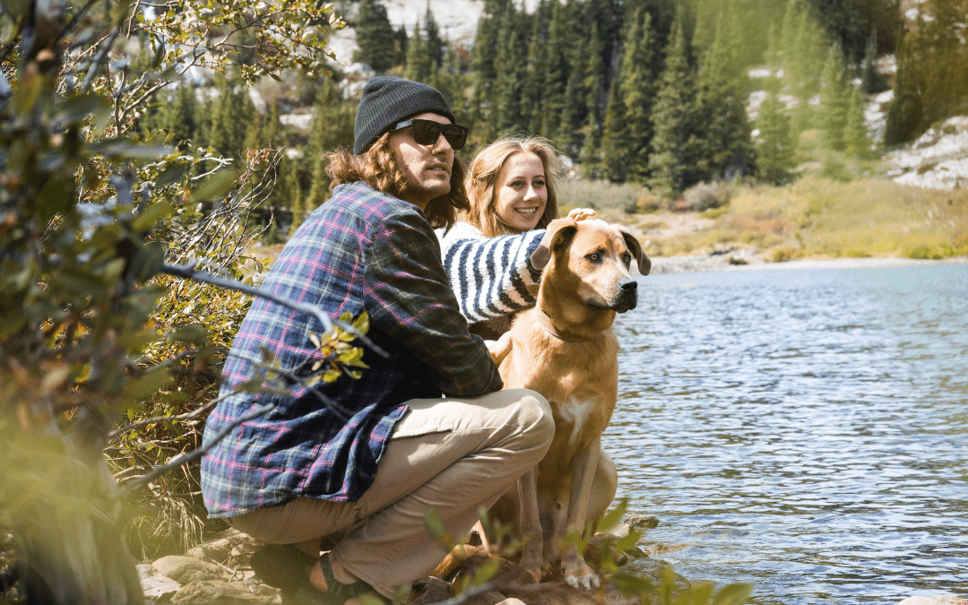 Your Go-To Guide to Camping with Your Pet